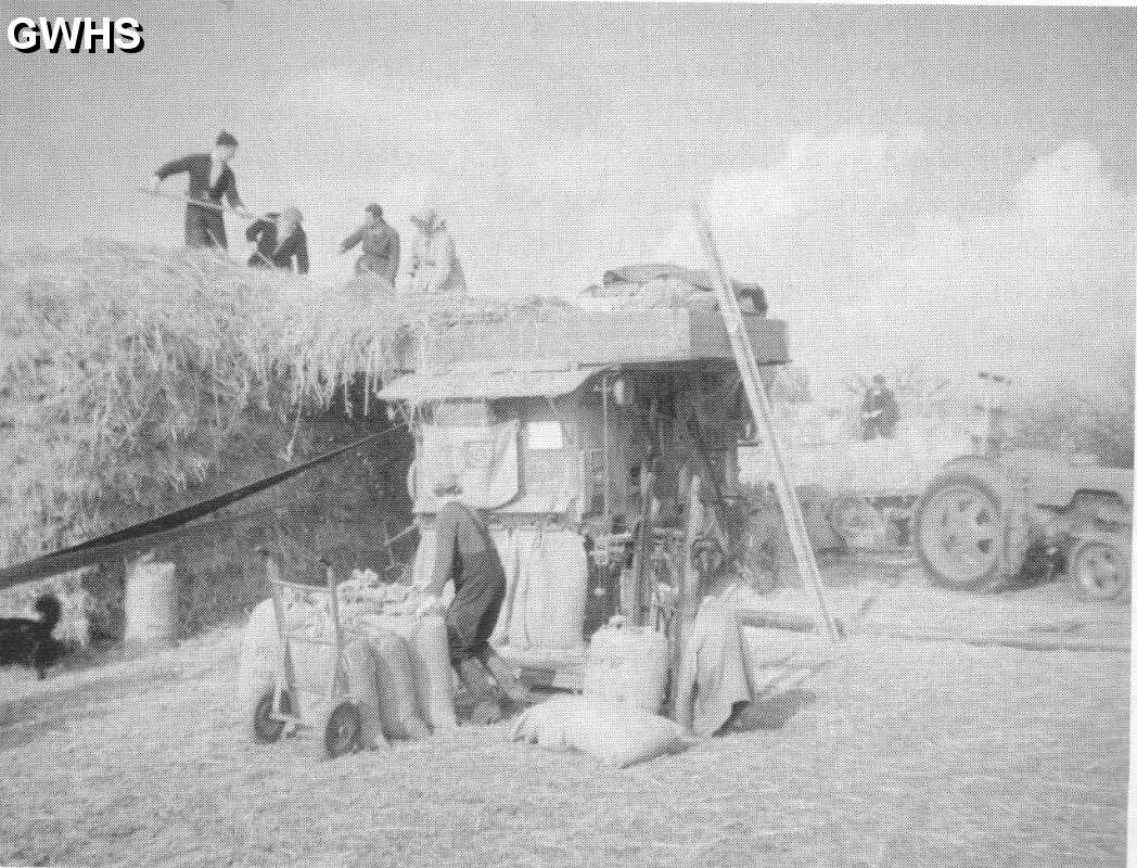 22-404 Threshing Corn 1950's  Wigston Magna