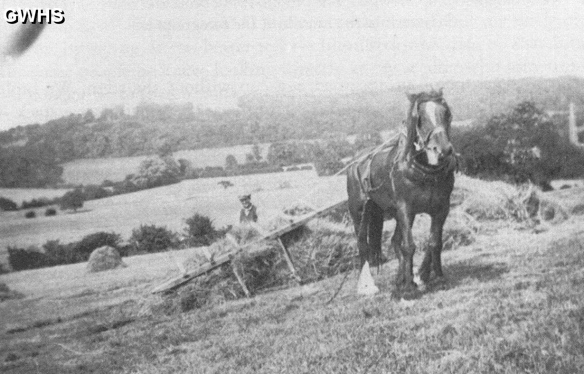 22-405 1920's haysweep on Wilds farm Hambleton Rutland
