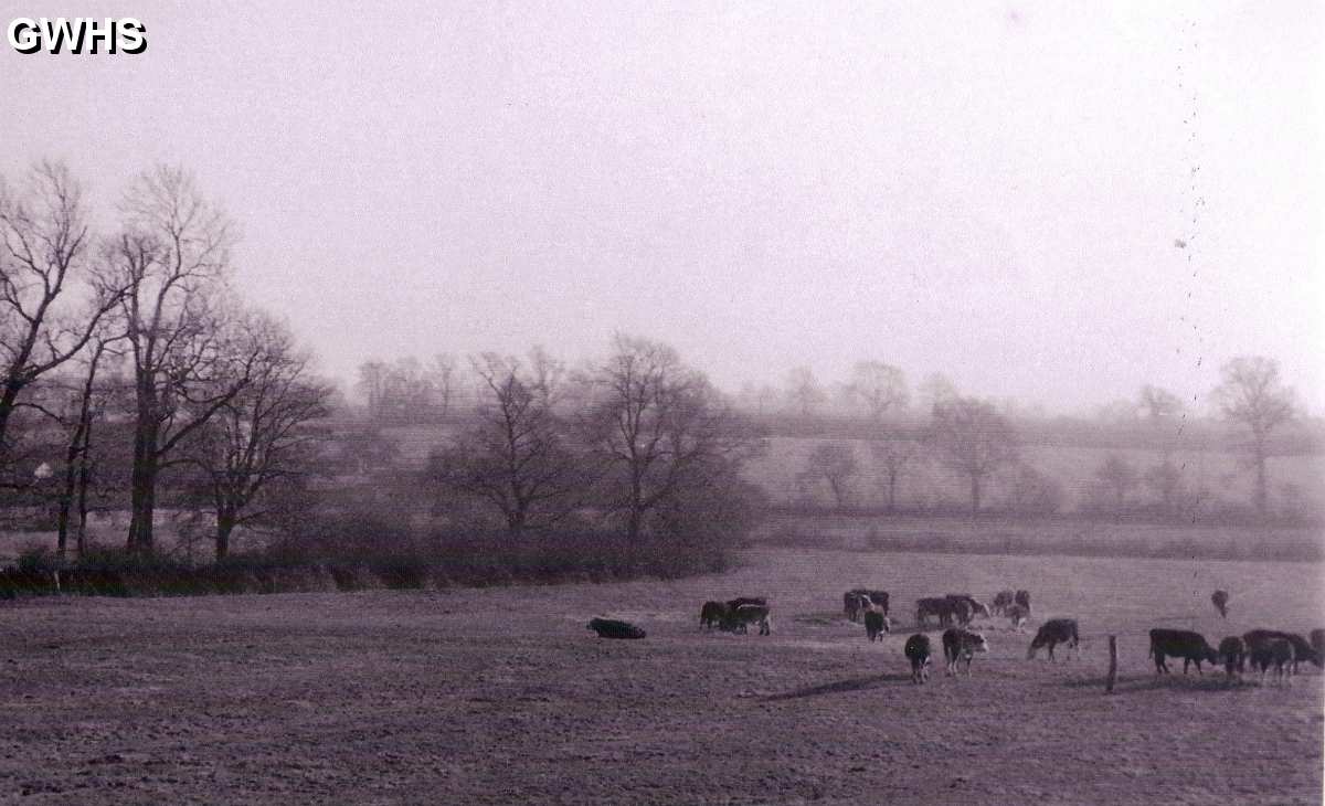 23-697 Lost pastoral scene of Wigston Magna by Ivor Dann