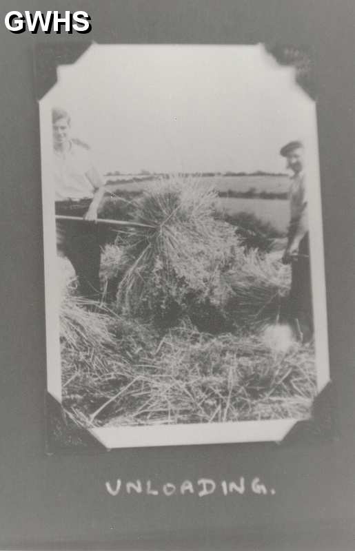 39-531 Unloading hay at White Gate Farm Newton Lane Wigston