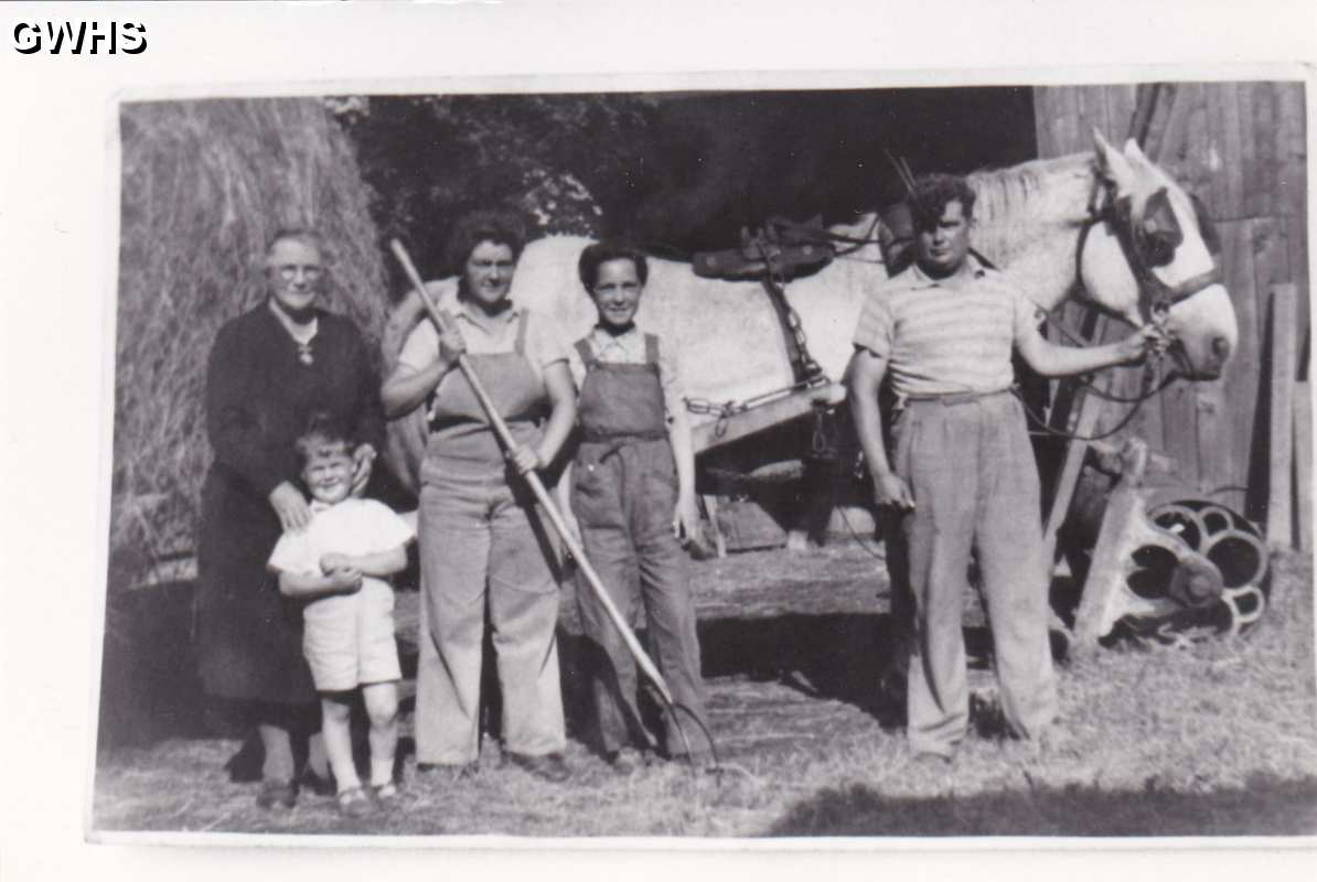 6-25 Wigston family hay making 1930's