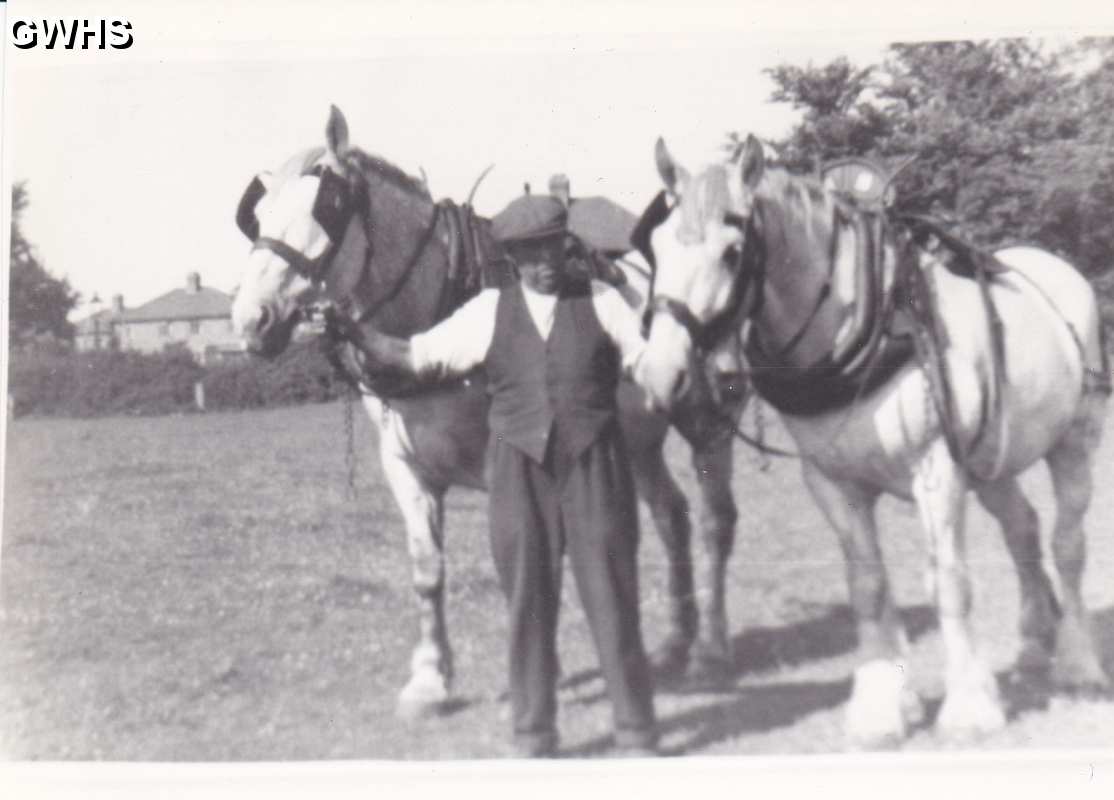 6-31 Mr Wilford and his two horses in Wigston Magna