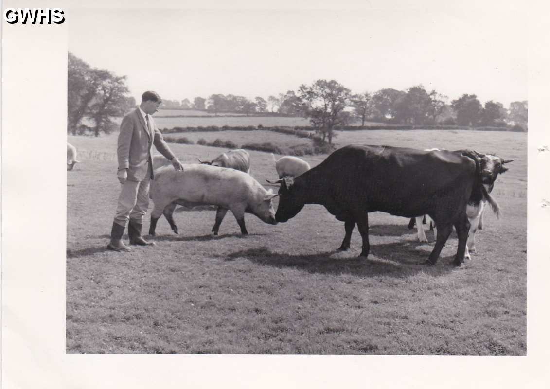 6-68 Duncan Lucas at White Gate Farn c 1960 - now site of Wigston Harcourt