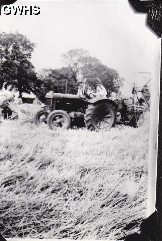 6-8 Farming at White Gate Farm Newton Lane