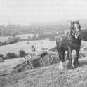 22-405 1920's haysweep on Wilds farm Hambleton Rutland