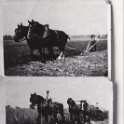 6-27 2 horse ploughing and 3 horse binding in Wigston Magna