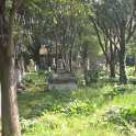 29-504 Cemetery background picture